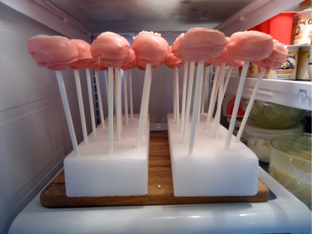 Delish Treats 12 Hole Acrylic Cake Pop Stand | Shopaholic for Kids