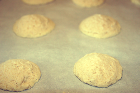 Gluten Free Whipped Short Bread Cookies