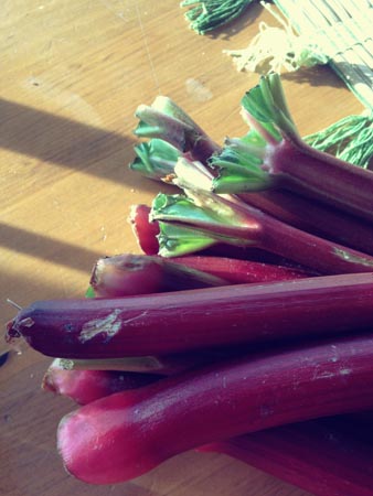 Gluten Free Rhubarb Cake 