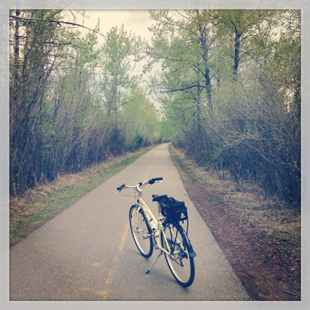 bike on pathway