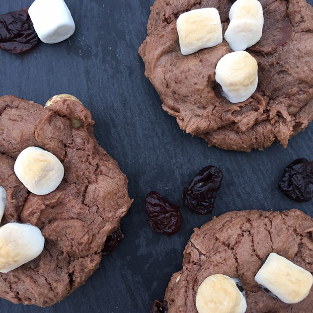 gluten free dairy free chocolate marshmallow cashew cookie recipe