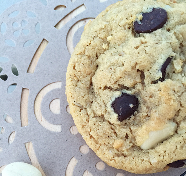 gluten free dairy free double peanut chocolate chip recipe