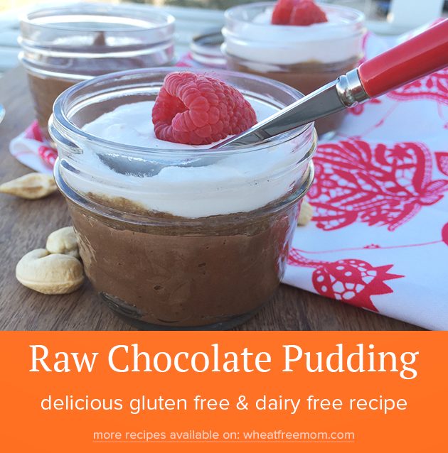 gluten free raw vegan chocolate pudding recipe