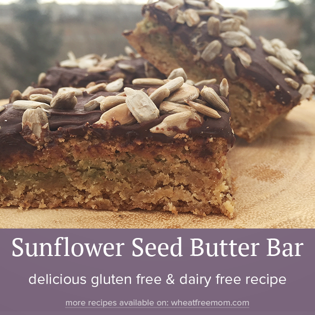 gluten free dairy free sunflower seed butter bars recipe