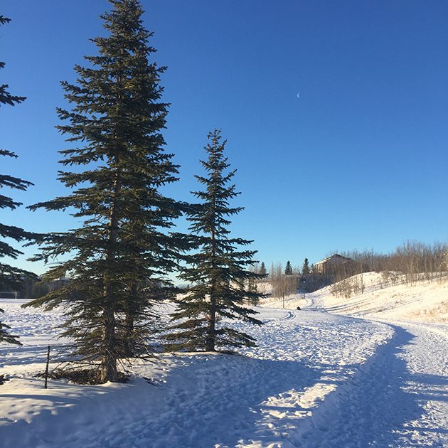 calgary winter