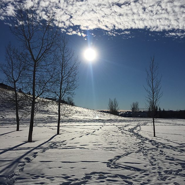 calgary winter