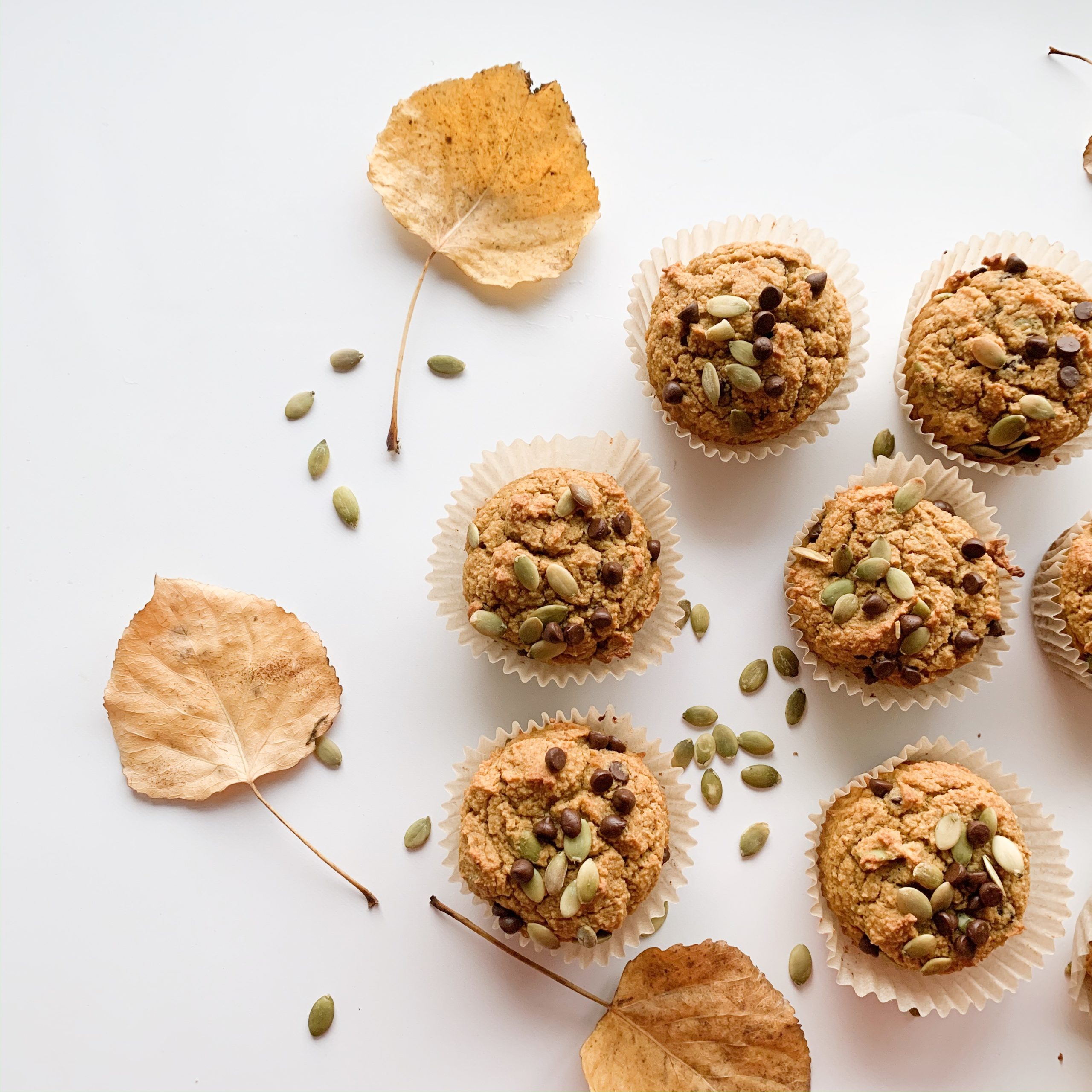 Paleo Pumpkin Muffins | Wheat Free Mom