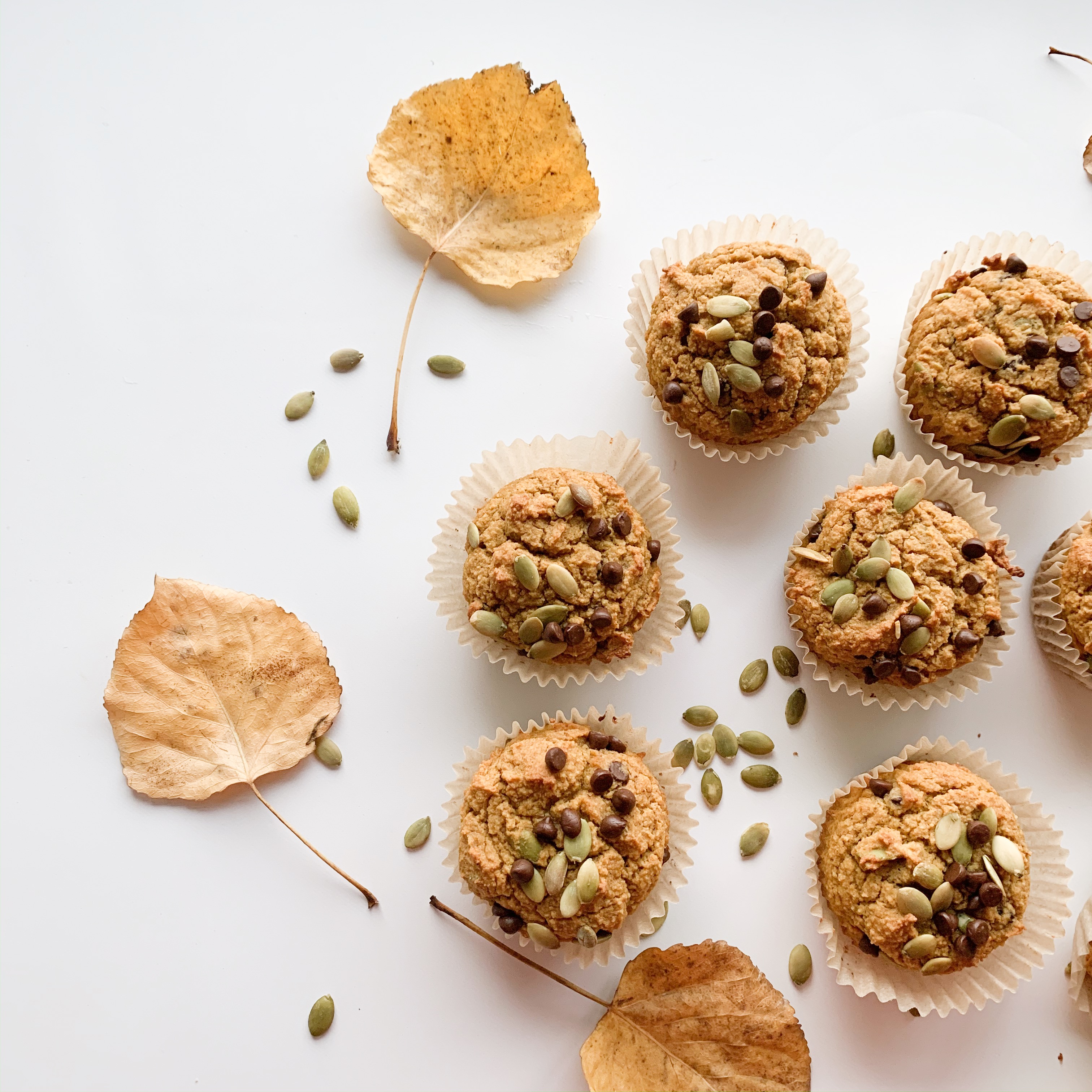 Paleo Pumpkin Muffin Recipe