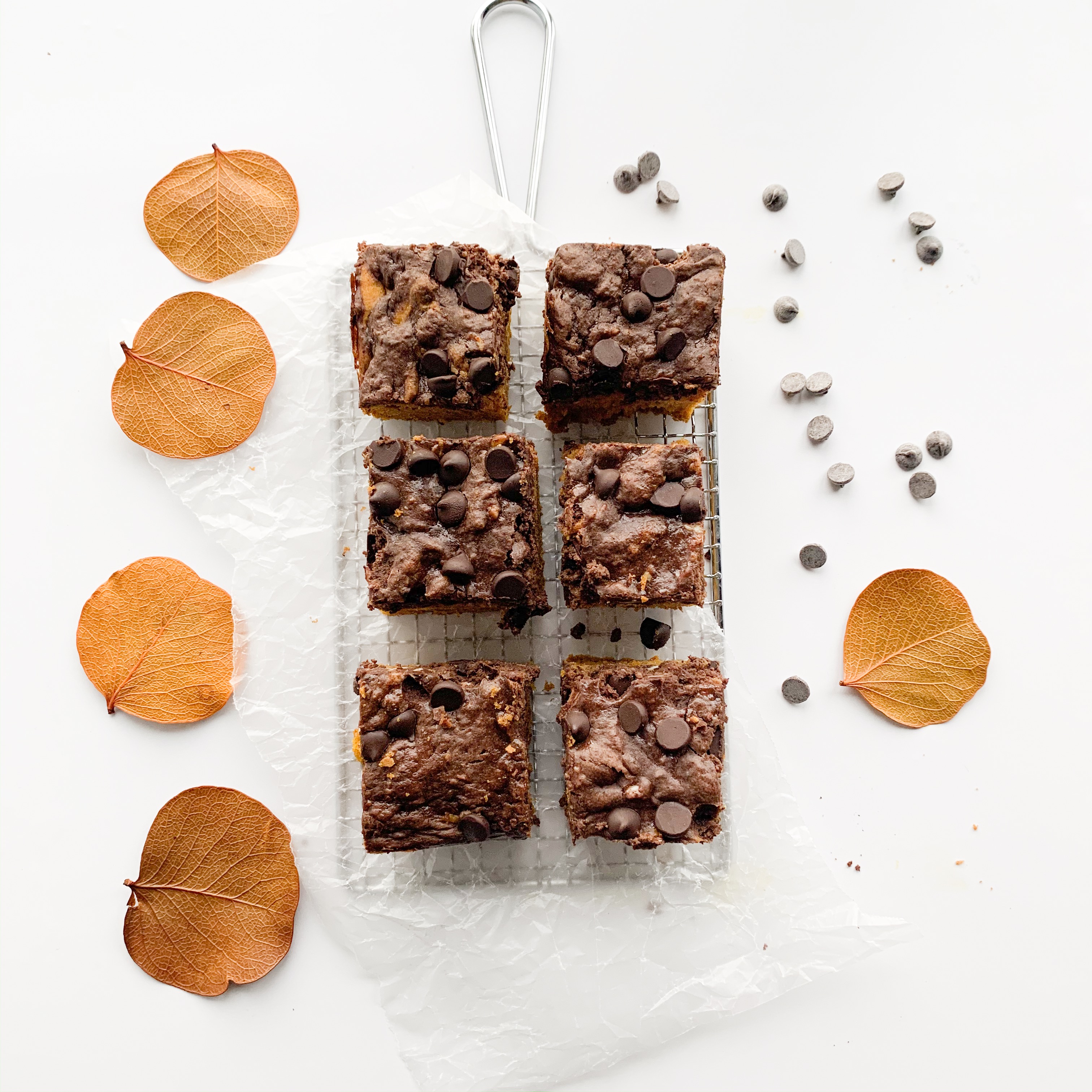 Chocolate Swirl Pumpkin Squares