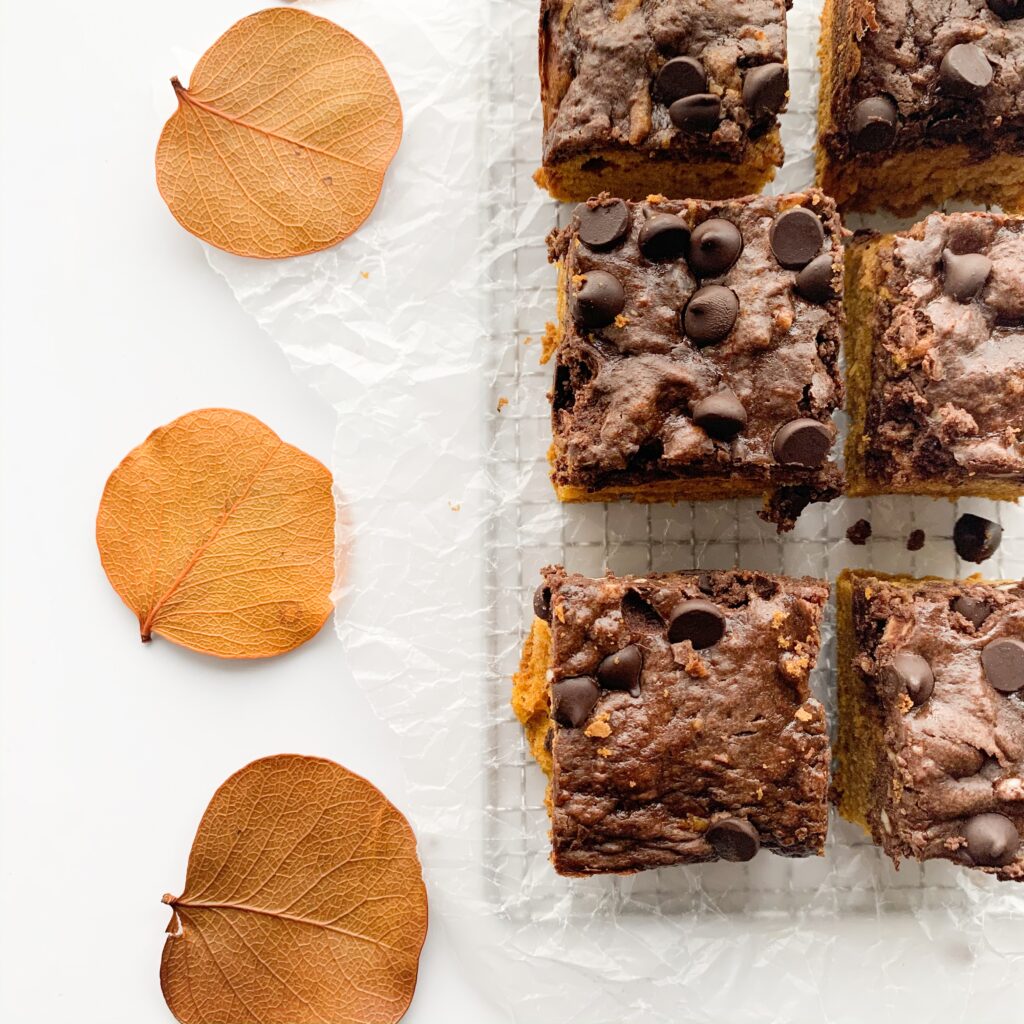 Chocolate Swirl Pumpkin Squares